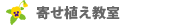 寄せ植え教室